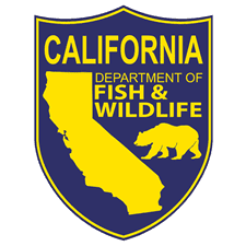 Wildlife conservation badge design