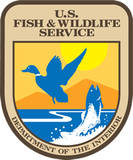 Bird and fish emblem design